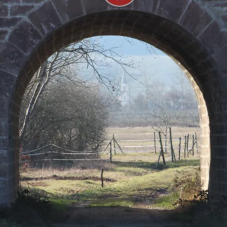 La Maison De *