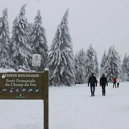 La Maison De * Nothalten