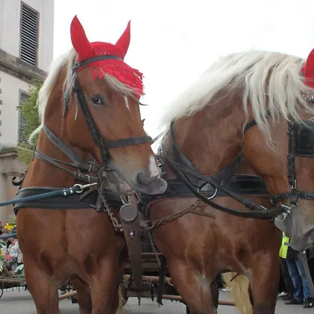 別荘 La Maison De Nothalten