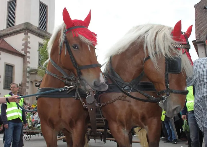Casa de Férias La Maison De Nothalten